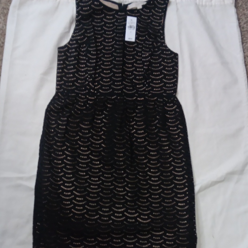 LOFT Black and Cream Lace Dress